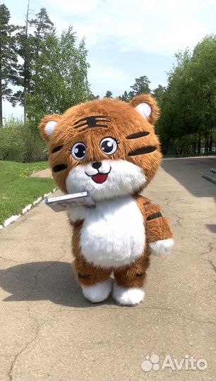 Поздравление от котика