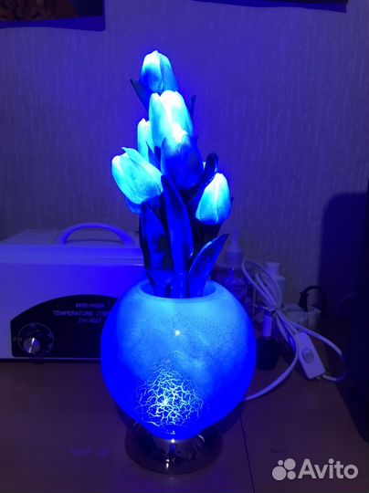 Ночник цветы