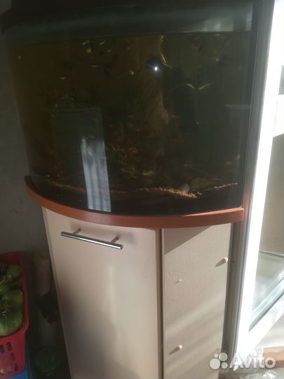 Аквариум с тумбой 40 литров