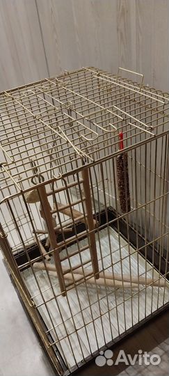 Большая клетка для птиц