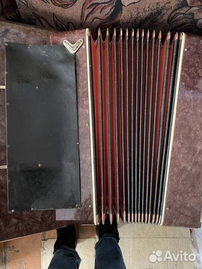 Аккордеон Красный партизан