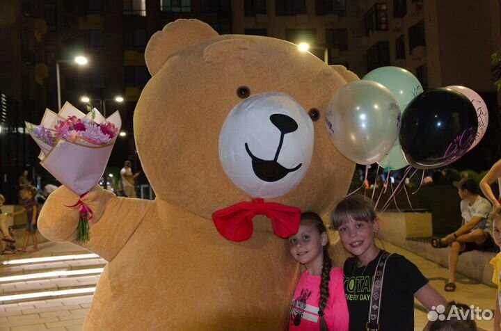 Поздравление от Мишки Тедди