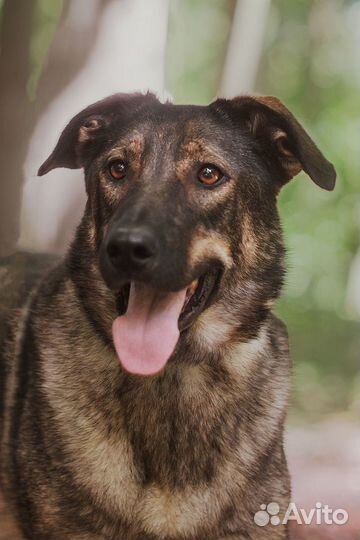 Марик ищет Дом