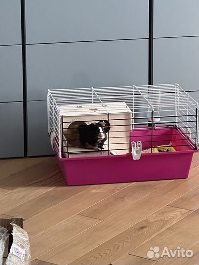 Клетка для грызунов большая