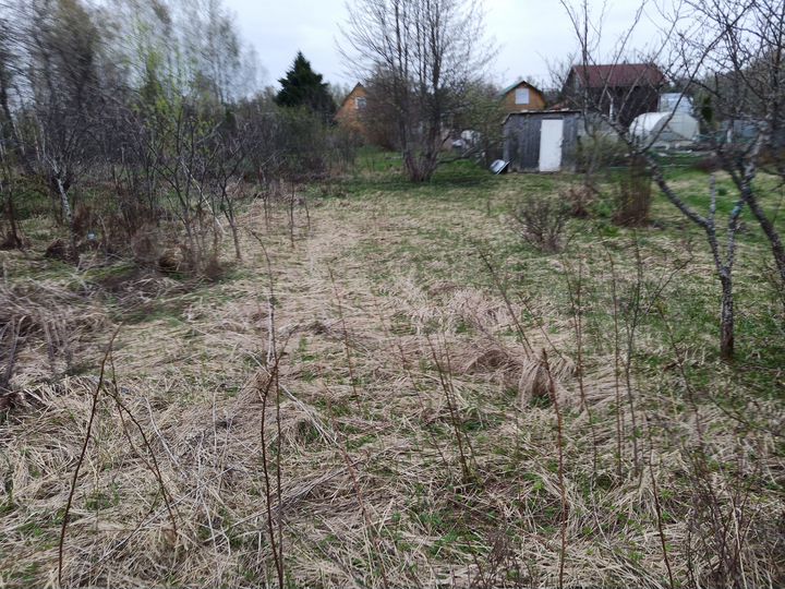 Участок 6 сот. (СНТ, ДНП)