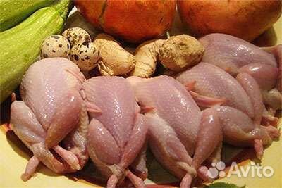 Мясо перепелиное свежее