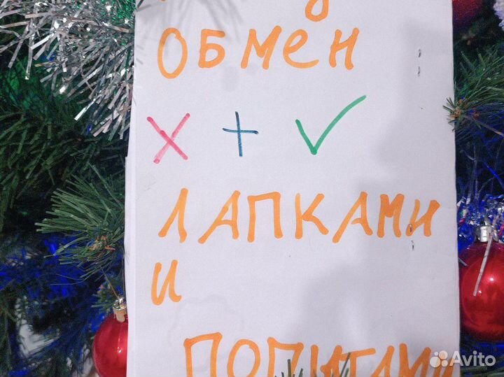 Уход за табо лапками