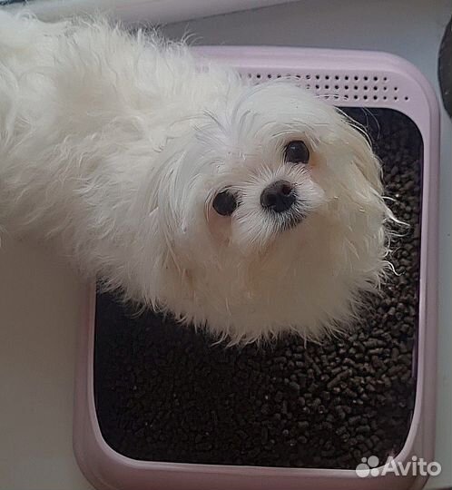 Наполнитель