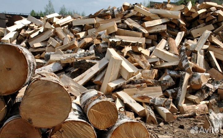 Дрова Береза