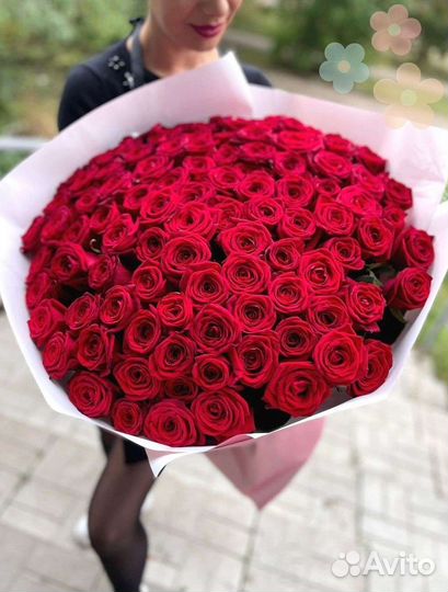Розы Цветы Доставка 25 51 151 201 101 301 501 опт