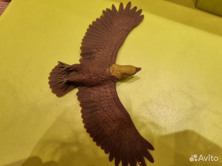 Птицы deagnostini