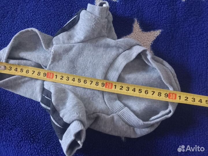 Одежда для маленьких собак