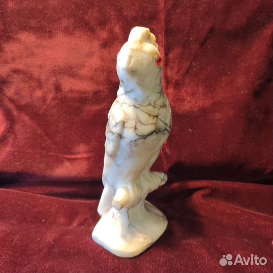 Мраморный попугай СССР