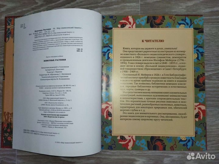 Детские книги новые