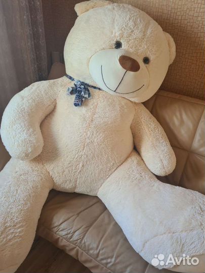 Плюшевый медведь
