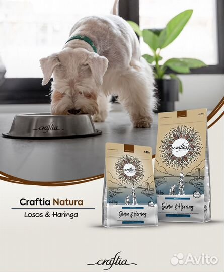 Сухой корм для собак Craftia