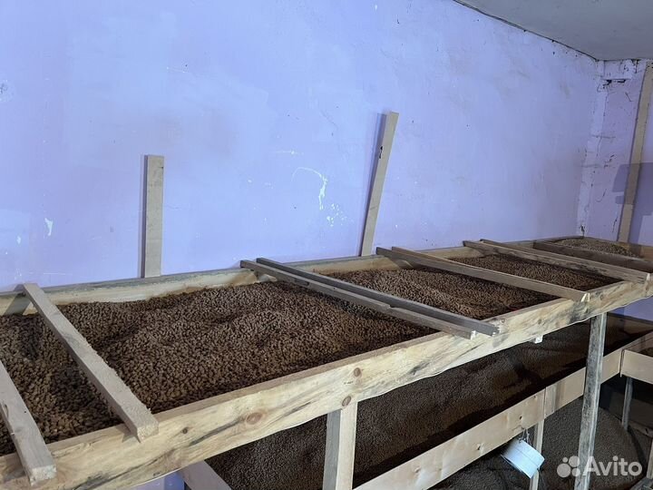 Корм для рыб