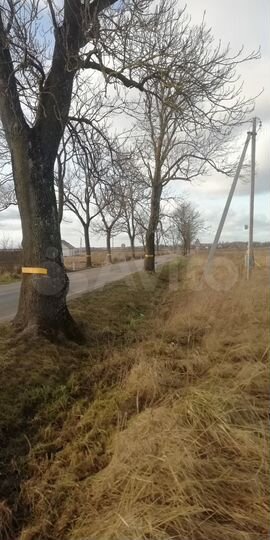 Участок 16 сот. (ИЖС)