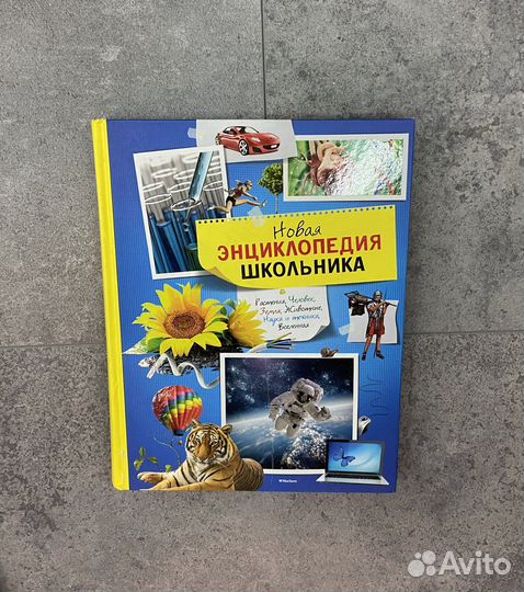 Новая энциклопедия школьника