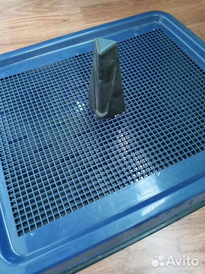 Большой лоток туалет для собак