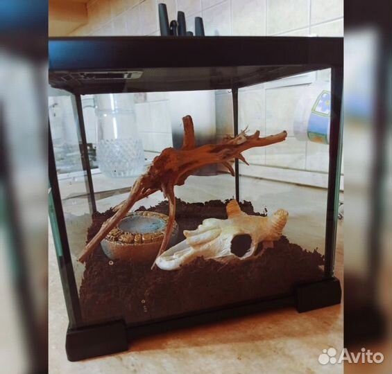 Продается аквариум(террариум)
