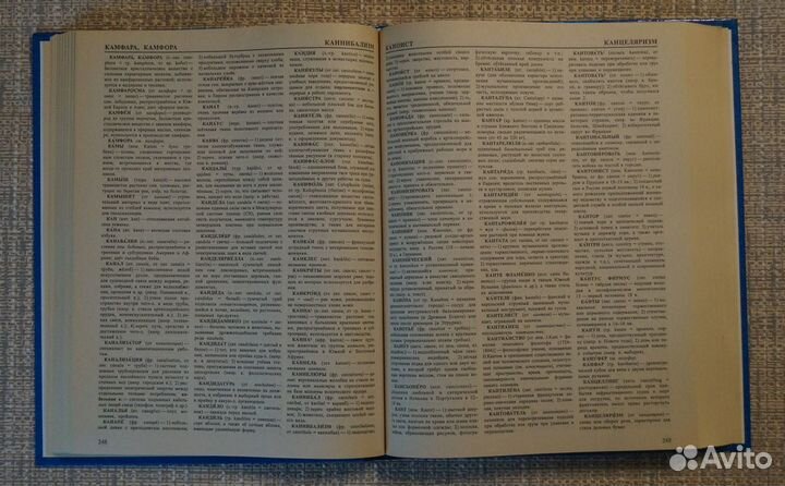 Большой словарь иноязычных слов. 35000 слов