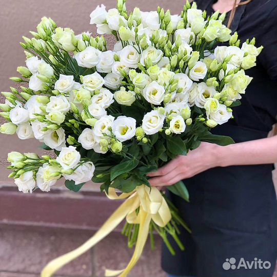 Цветы эустома