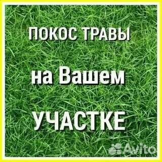 Услуги скосить траву