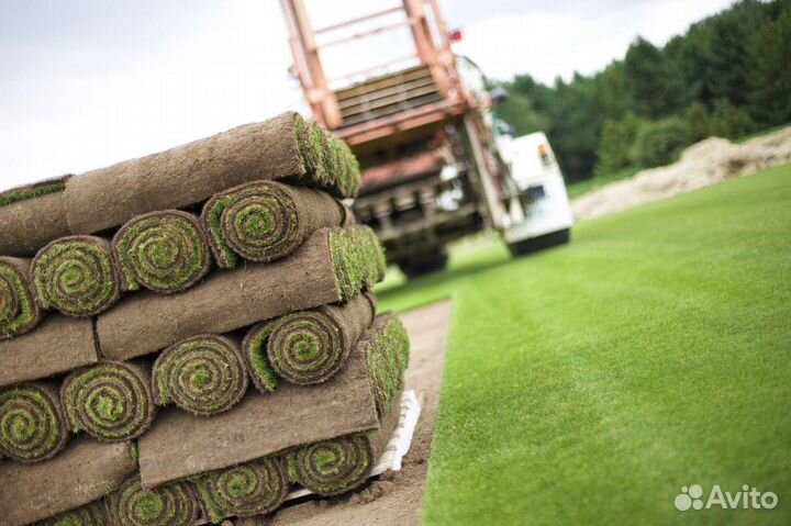 Укладка и продажа газона