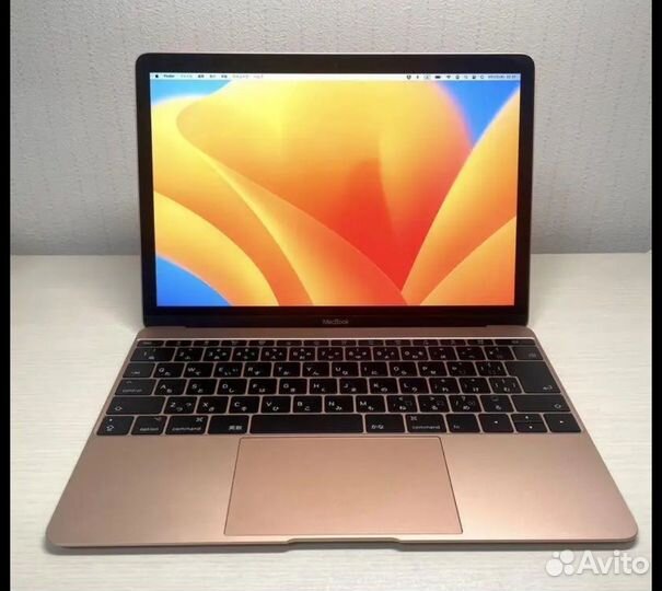 Apple MacBook 12 retina 2017