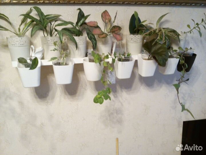 Товары Икеа