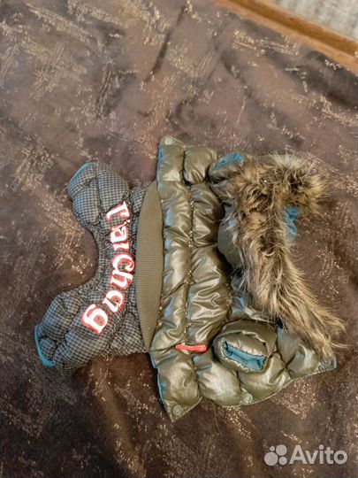 Одежда для маленьких собак