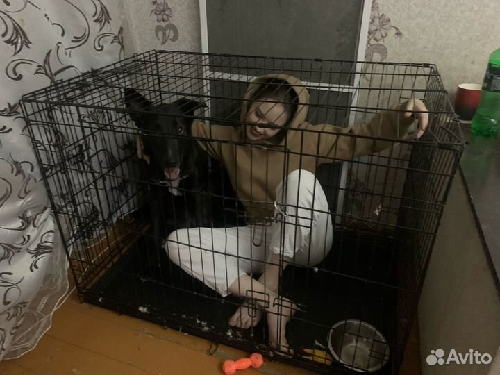 Вольер(клетка) для собак