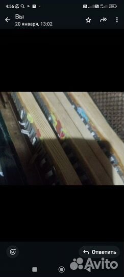 Гармонь тульская до мажор