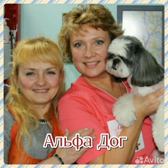 Качественная стрижка кошек и собак всех пород