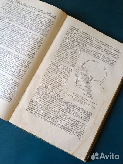 Учебник анатомии человека 1953 медгиз