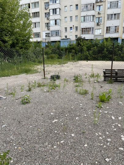 Участок 3 сот. (ИЖС)