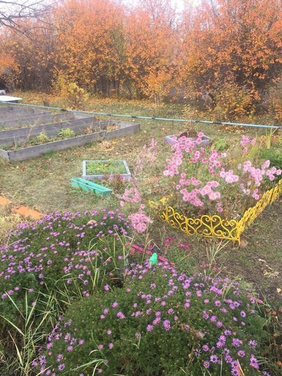 Дача 21 м² на участке 5,7 сот.