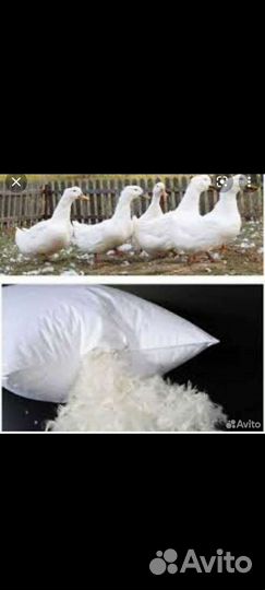 Покупаю подушки пух перо перины