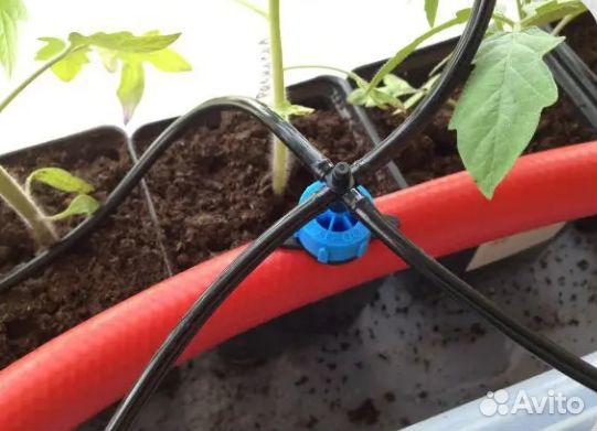 Капельный бюджетный автоматический полив