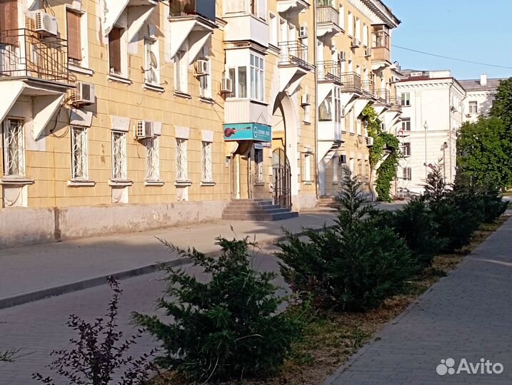 Новые электрогитары