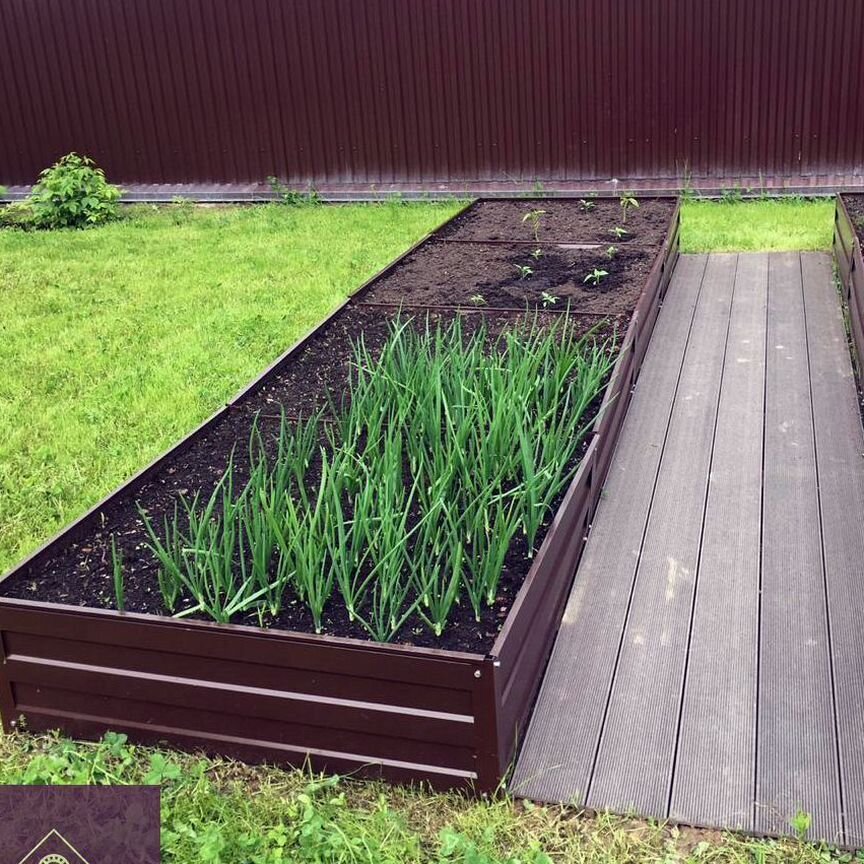 Купить растения 🌱 в Истре: цветы, саженцы, рассада