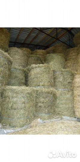 Сено, солома, доставка