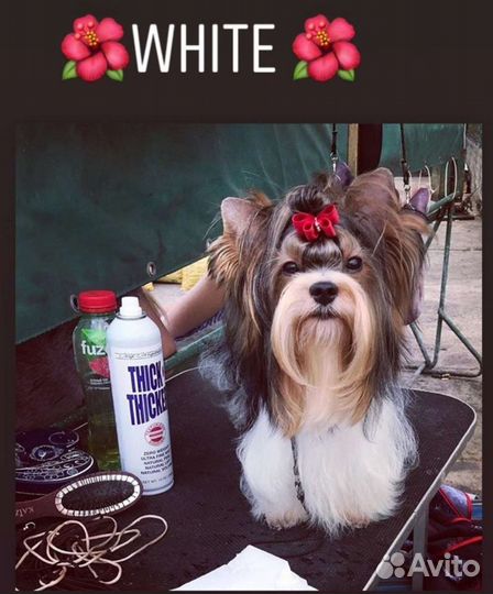 Вязка бивер