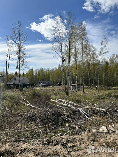 Вырубка деревьев расчистка участков