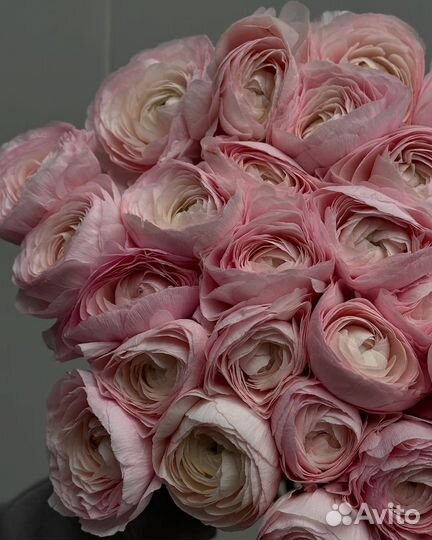 Букет из 21 Ранункулюс