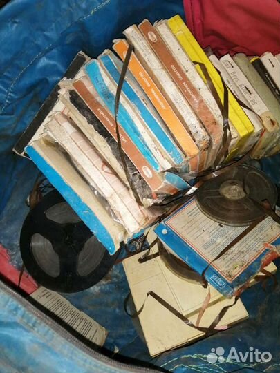 Магнитная пленка