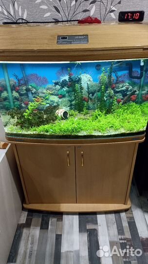 Аквариум с тумбой jebo