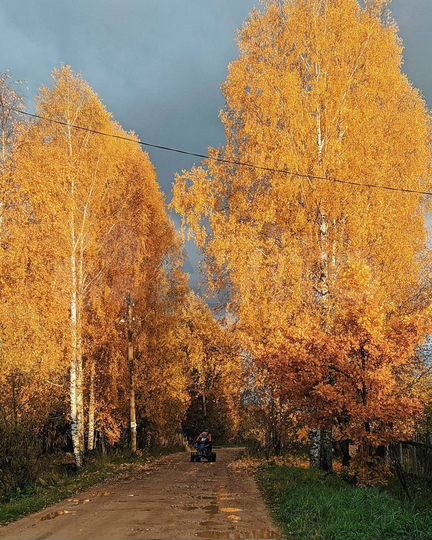 Участок 13,2 сот. (ИЖС)