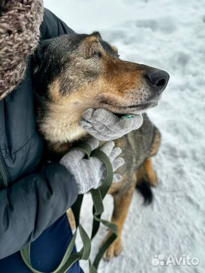 Джекки нужен дом